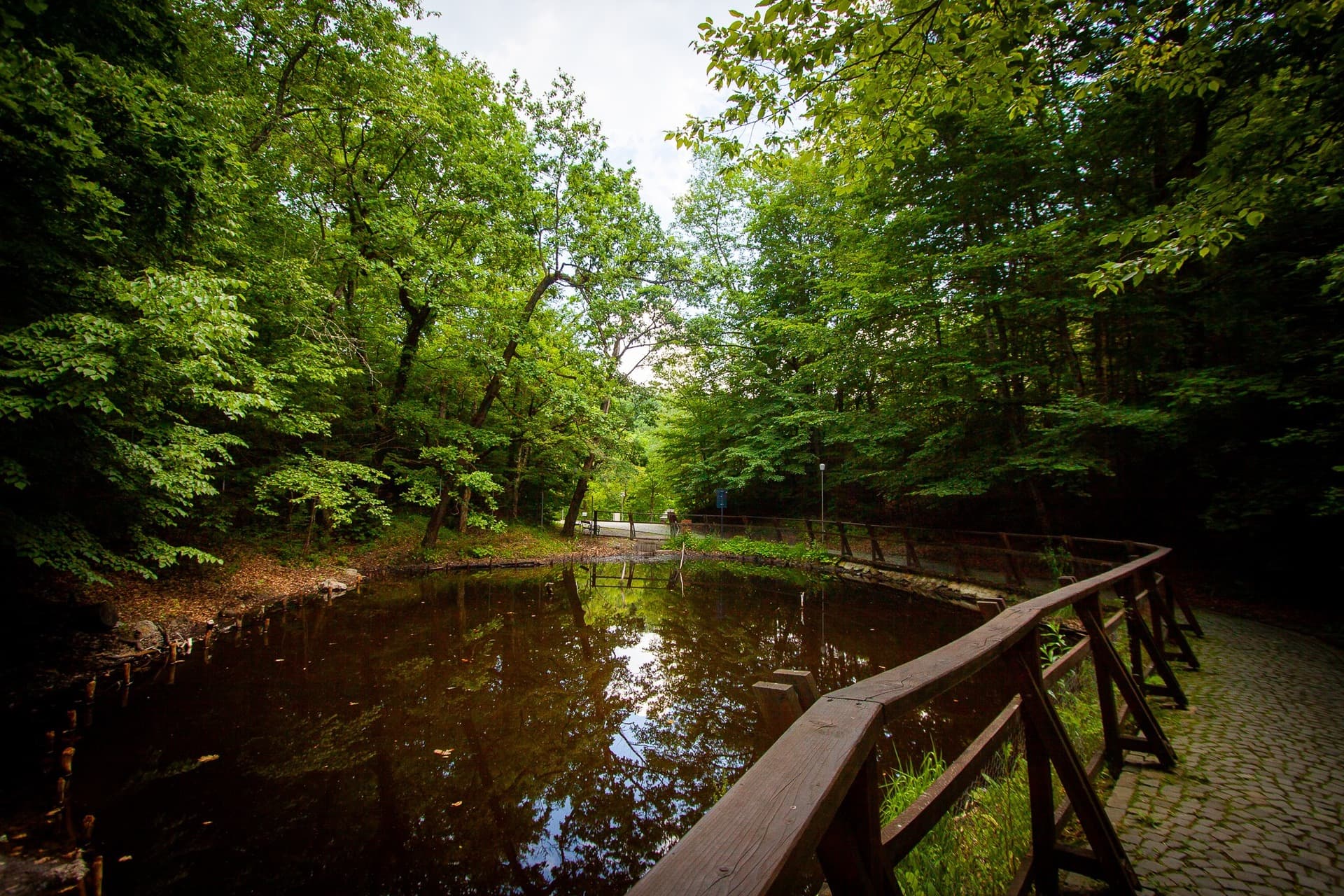Szovata image 2